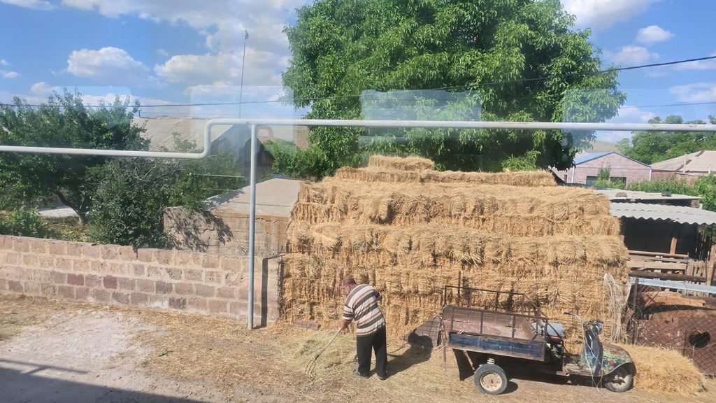 A man in a striped shirt forking hay beside a large stack of hay bales and a small three-wheeled cart, seen through the train window.