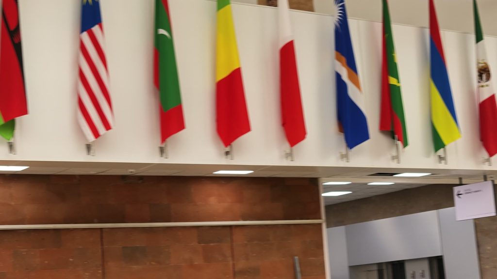 A row of national flags hanging in alphabetical order above a concourse lined with reddish stone.