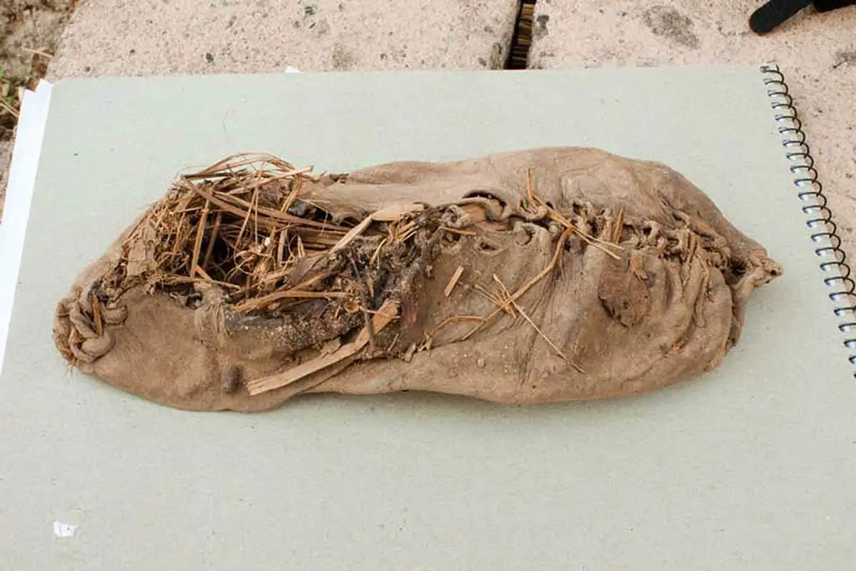 Oldest Leather Shoe in the World was Found in Armenia