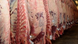 Armenia Tightens Control on Beef Import from Georgia
