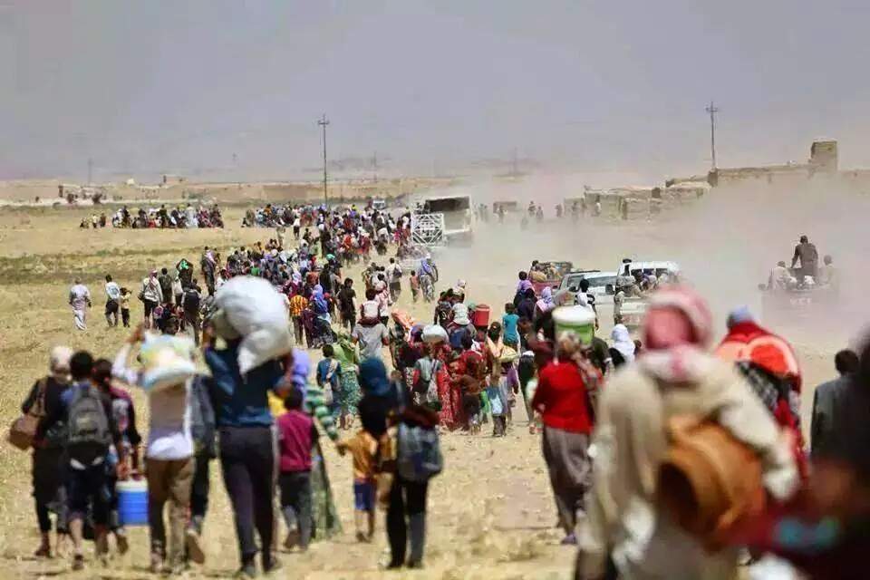Yezidis of Iraq are Now Welcome like Syrian-Armenians Armenia