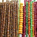 Strings of dried fruits hang in the covered market