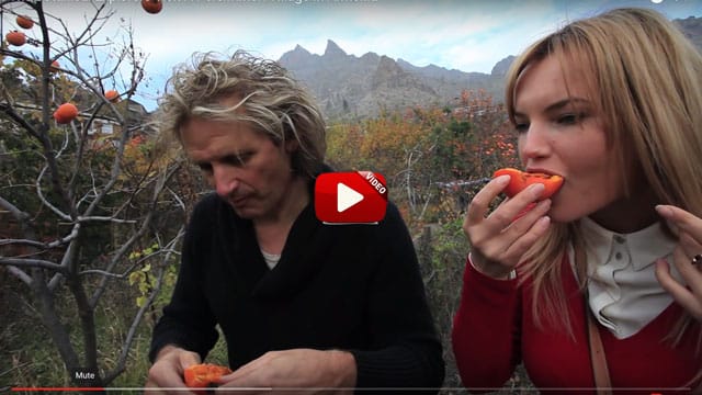 The Botanical Explorers Visit A Persimmon Village In Armenia