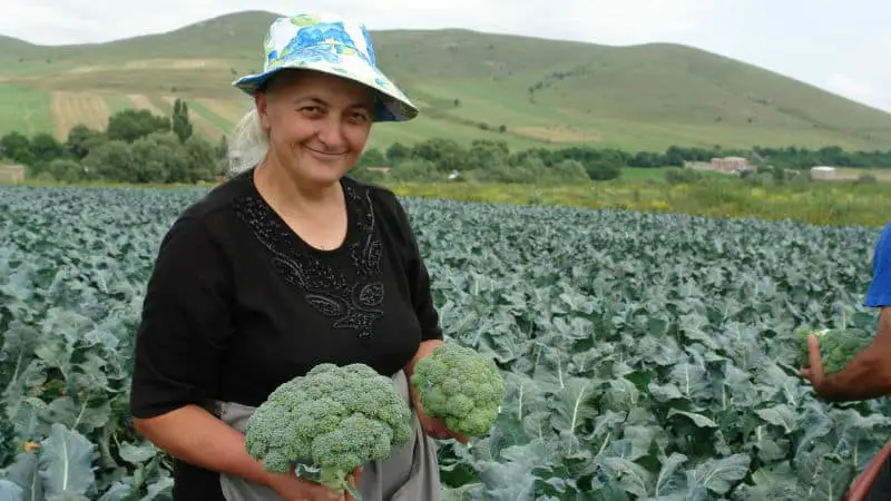 EU opens organic production educational centre in Armenia