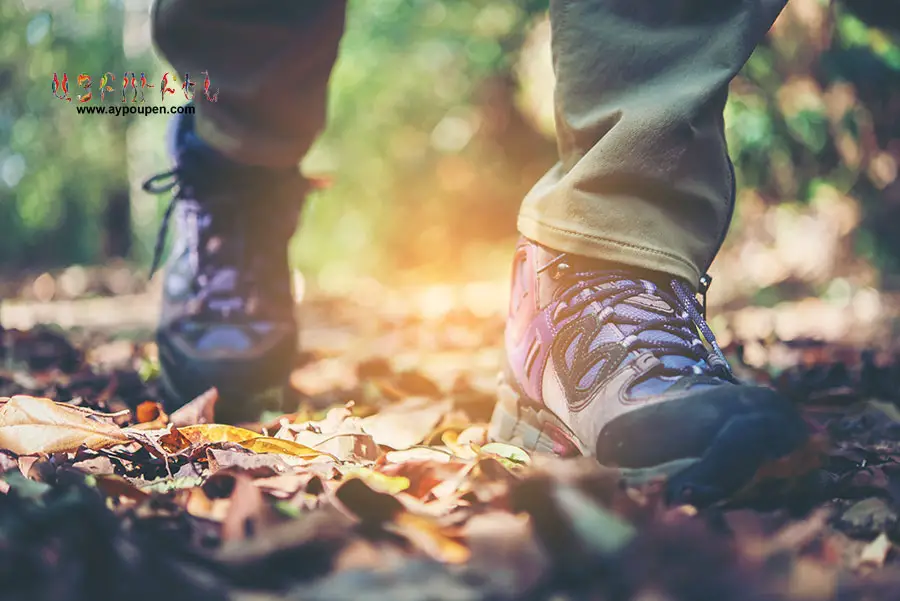 Women Hiking Boots