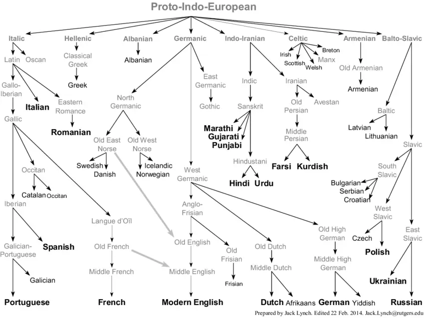 Proto Indo European languages falily tree