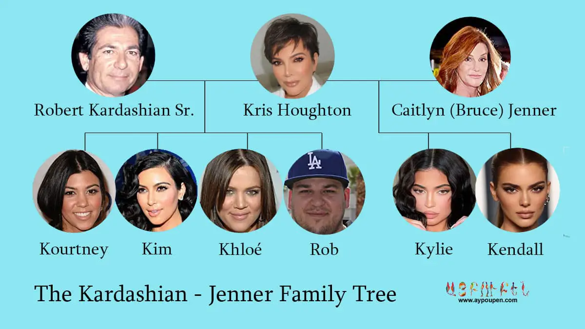 A family tree image explaining in detail who is who in Kardashian and Jenner Families, Kylie is the second from the bottom right.
