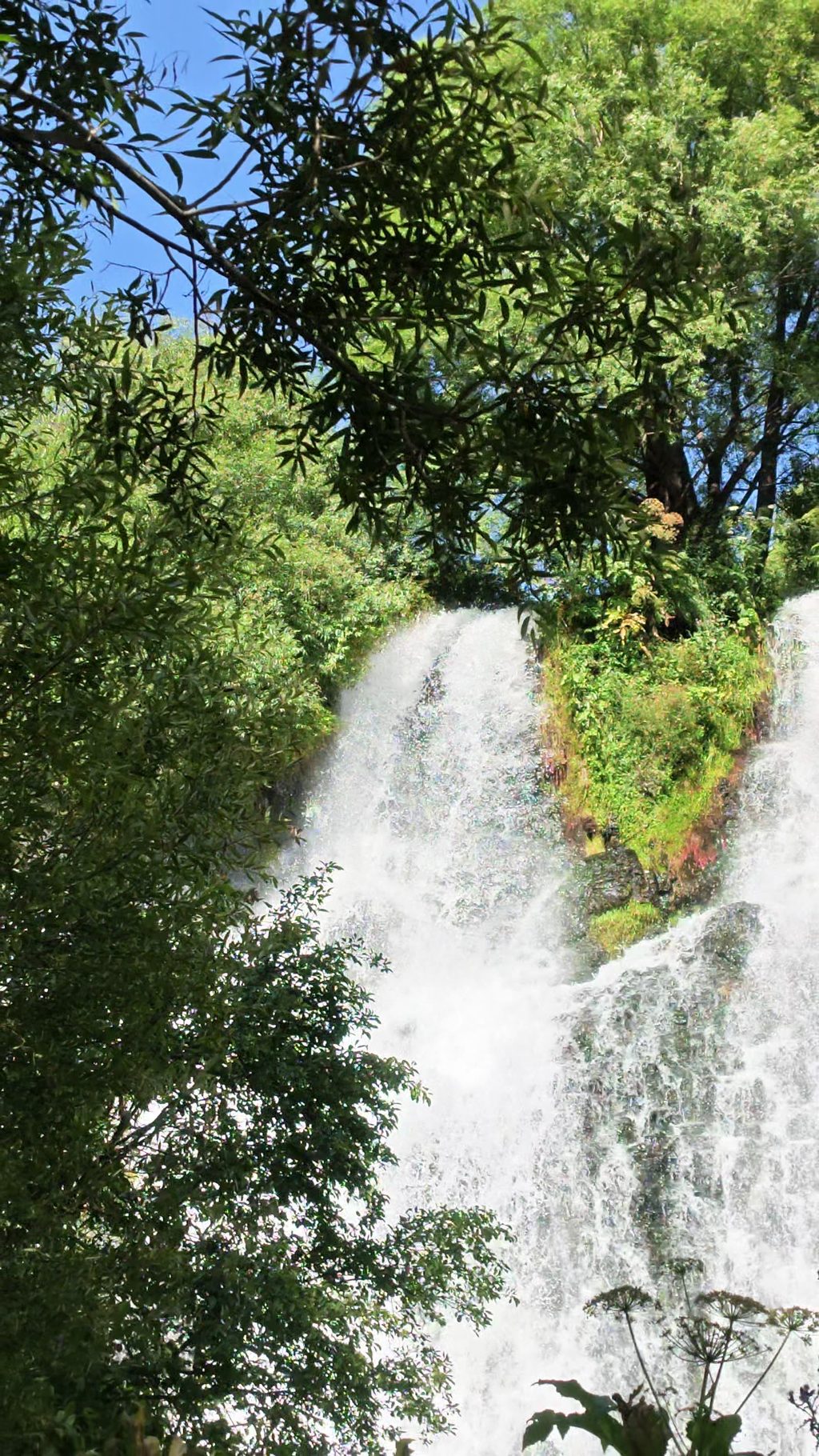 Shaki waterfall pouring over a wide basalt ledge into a green pool.