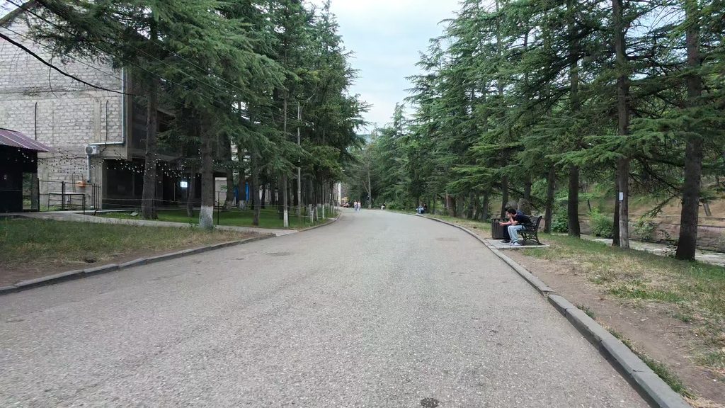 An avenue of conifers running through the sculpture park in Ijevan.
